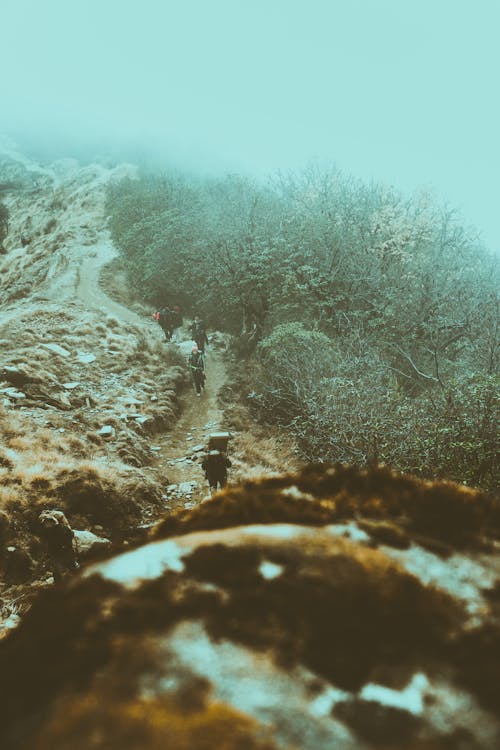 Hikers in Mountains