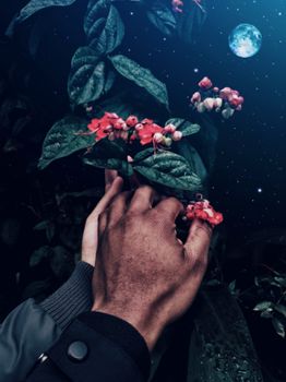 星空月色下，双手轻抚着深绿叶间的红花
