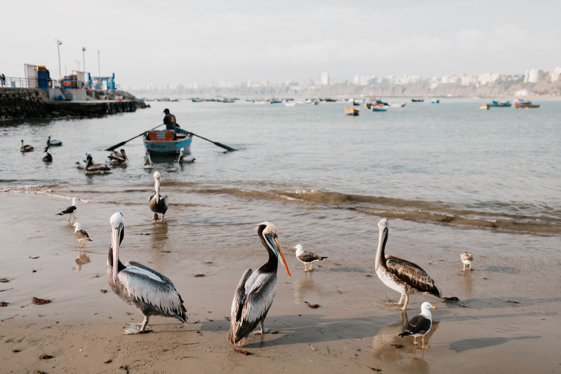 Chinese haven in Peru baart Trump zorgen