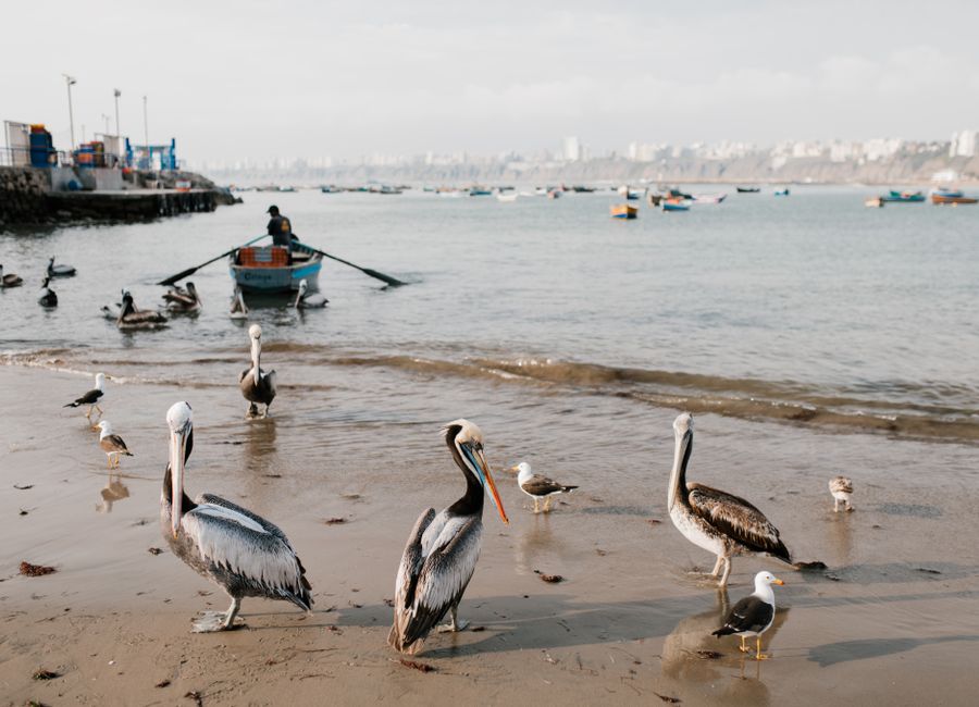 Lima, Peru — streets and everyday scenes · stay connected with a Lima eSIM from My Holiday SIM
