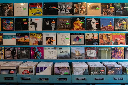 Explore a vibrant selection of vintage vinyl records on display in an Orlando music store.