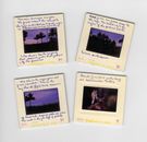 2 White Framed Photos on White Wall