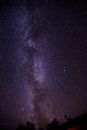 捕捉瑞典上空星光熠熠的夜空，展现银河系的光芒