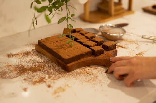 Free Woman Holding Wooden Board with Homemade Chocolate Brownie Stock Photo