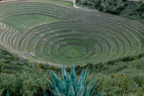 Circles on Rural Hill