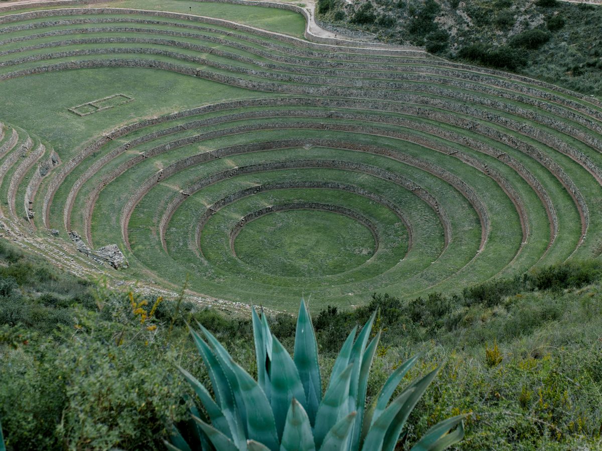 3 Day Ayahuasca Retreat with Shamanic Ceremonies in Peru 2