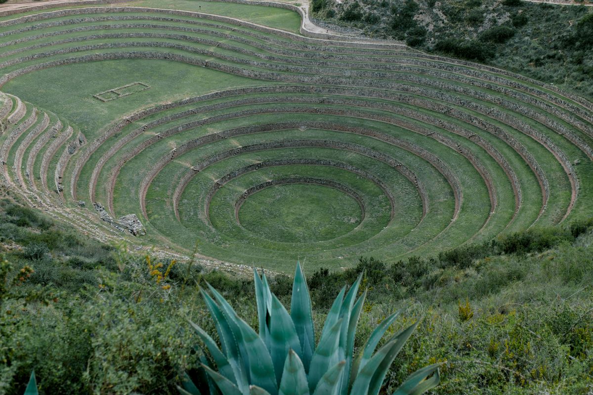 Aerial view of Moray's nested concentric circular terraces set into a natural depression, an agave plant in the foreground