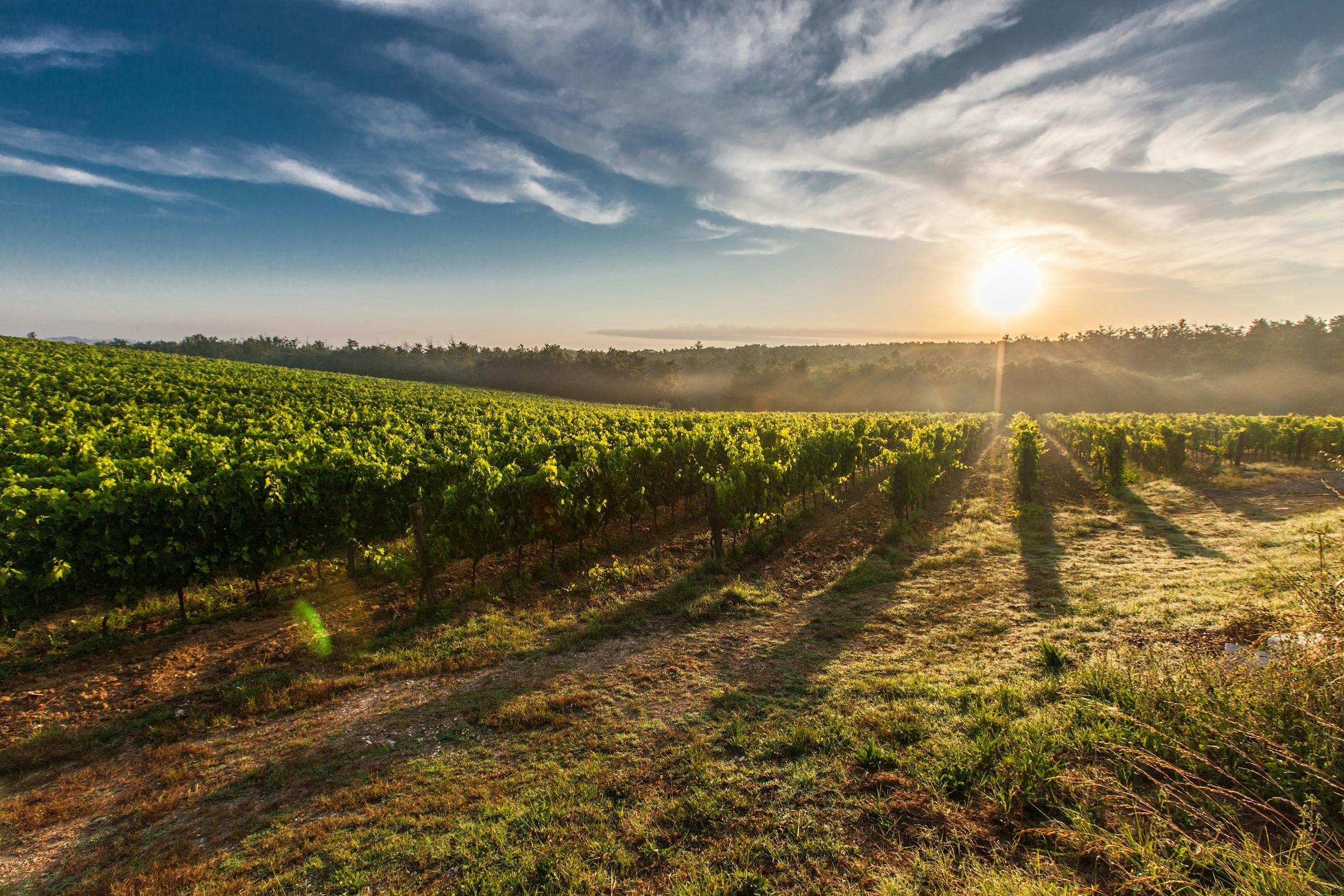 Tuscany Autumn Italy Sunset Nature Wallpaper 5120x3200