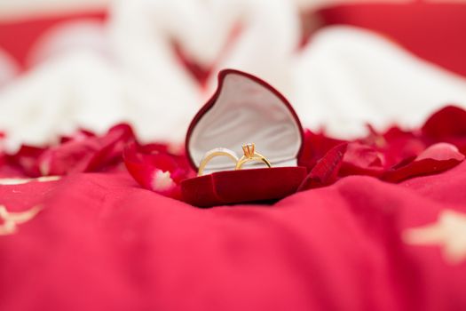 Close-up of wedding rings in a red velvet box surrounded by rose petals, symbolizing romance and commitment.