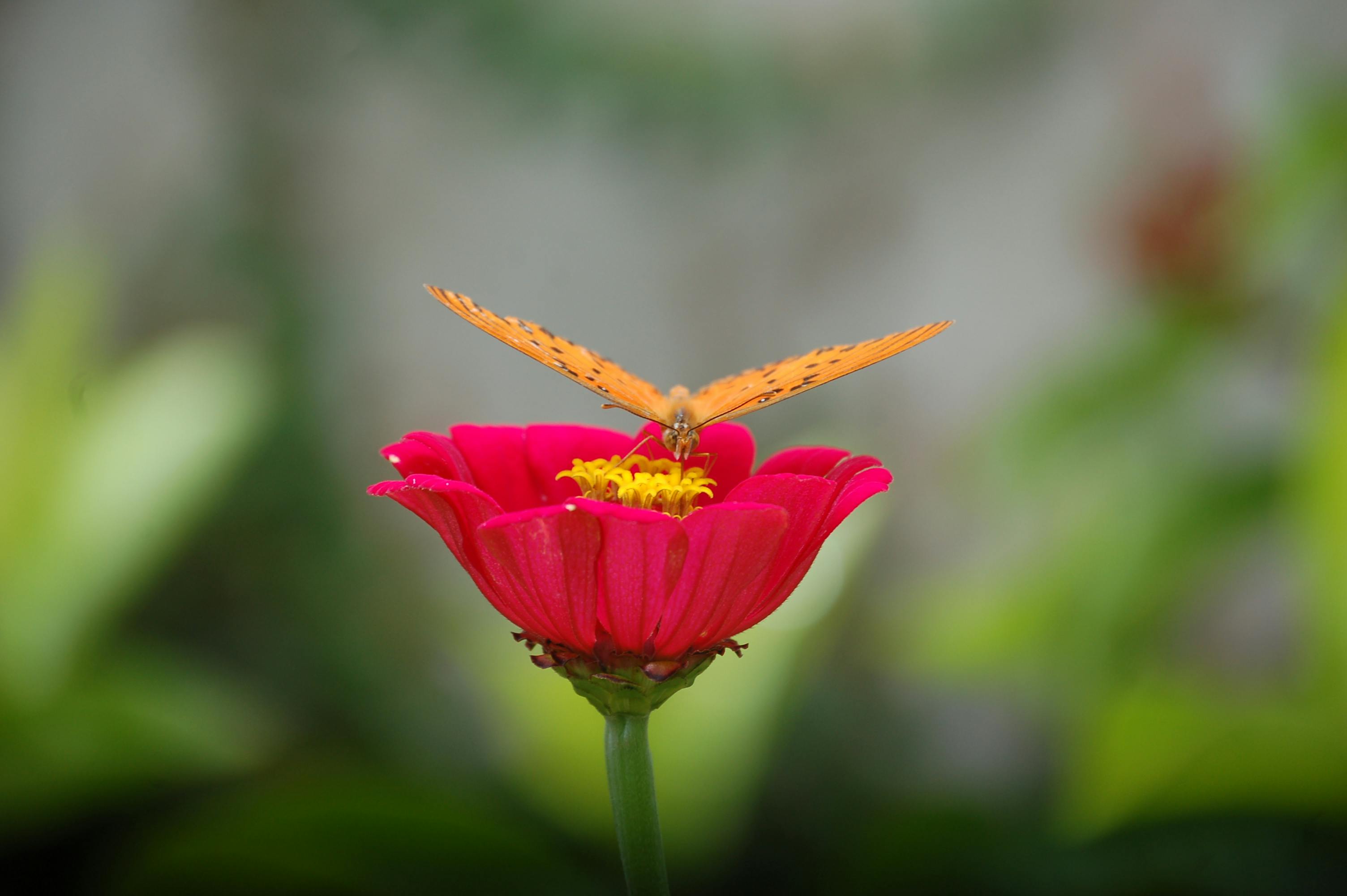 Families and businesses suing for climate damages 2025