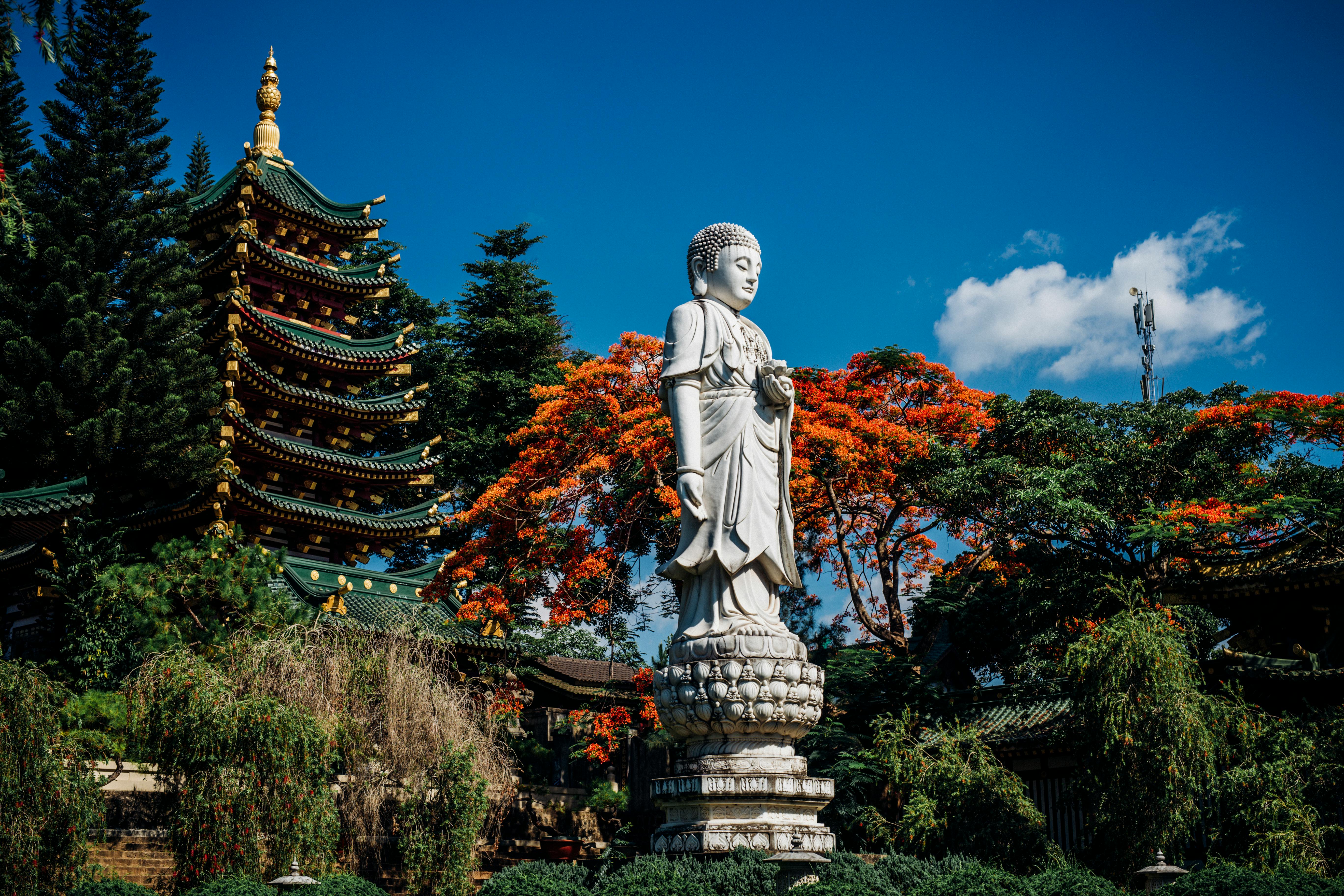 Stunning Buddha statue at Chua Minh Thanh Temple, Vietnam, with traditional architecture and vibrant foliage.