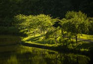 白天，湖滨树木的倒影在水中呈现出宁静的景观