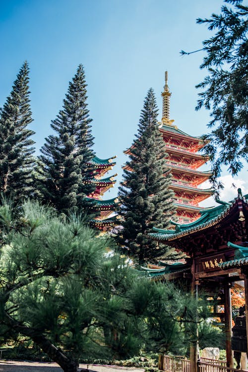 Gratis lagerfoto af Asiatisk arkitektur, fyrretræ, højhus Lagerfoto