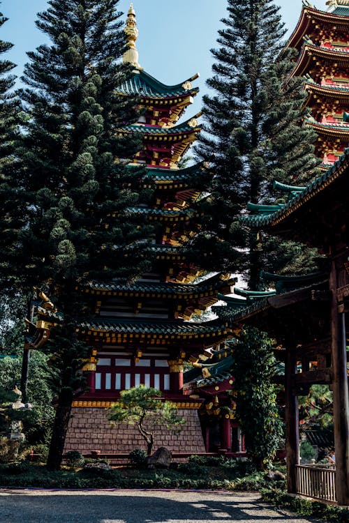açık hava, ağaçlar, Asya mimarisi içeren Ücretsiz stok fotoğraf