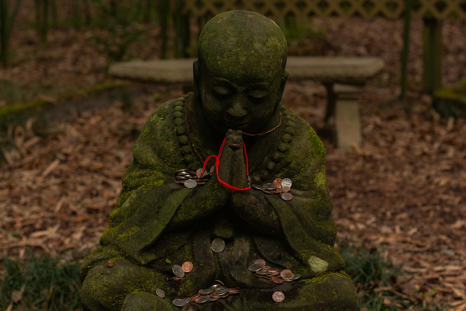 A Mossy Old Praying Buddha Statue with Coins