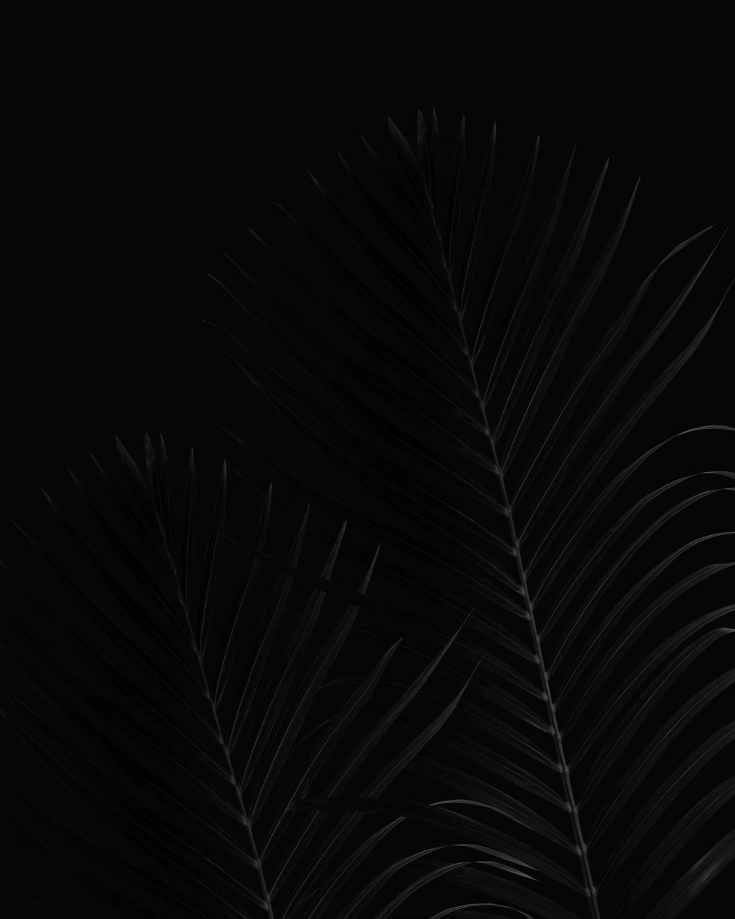 Tiefschwarzes Dunkel & Schwarz – AMOLED Hintergrundbild