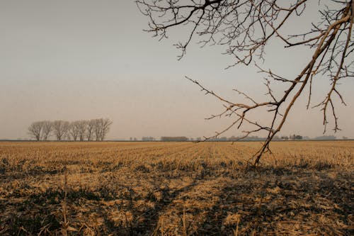 Photo of a Dry Farmland 