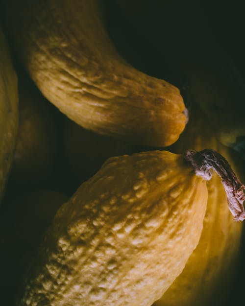 Bunch of ripe Cucurbita moschata vegetables