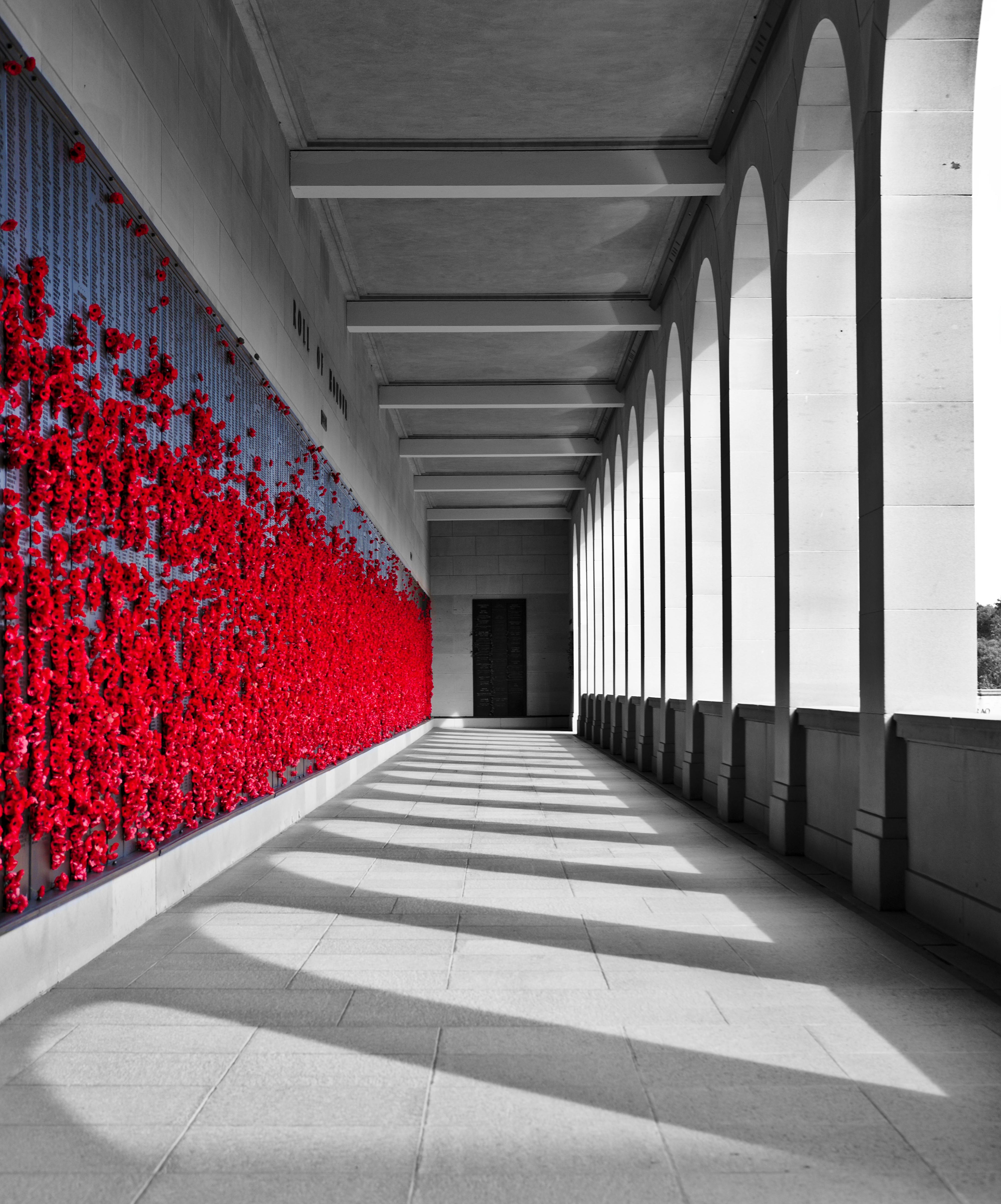 Red Flowers on White Concrete Floor \u00b7 Free Stock Photo