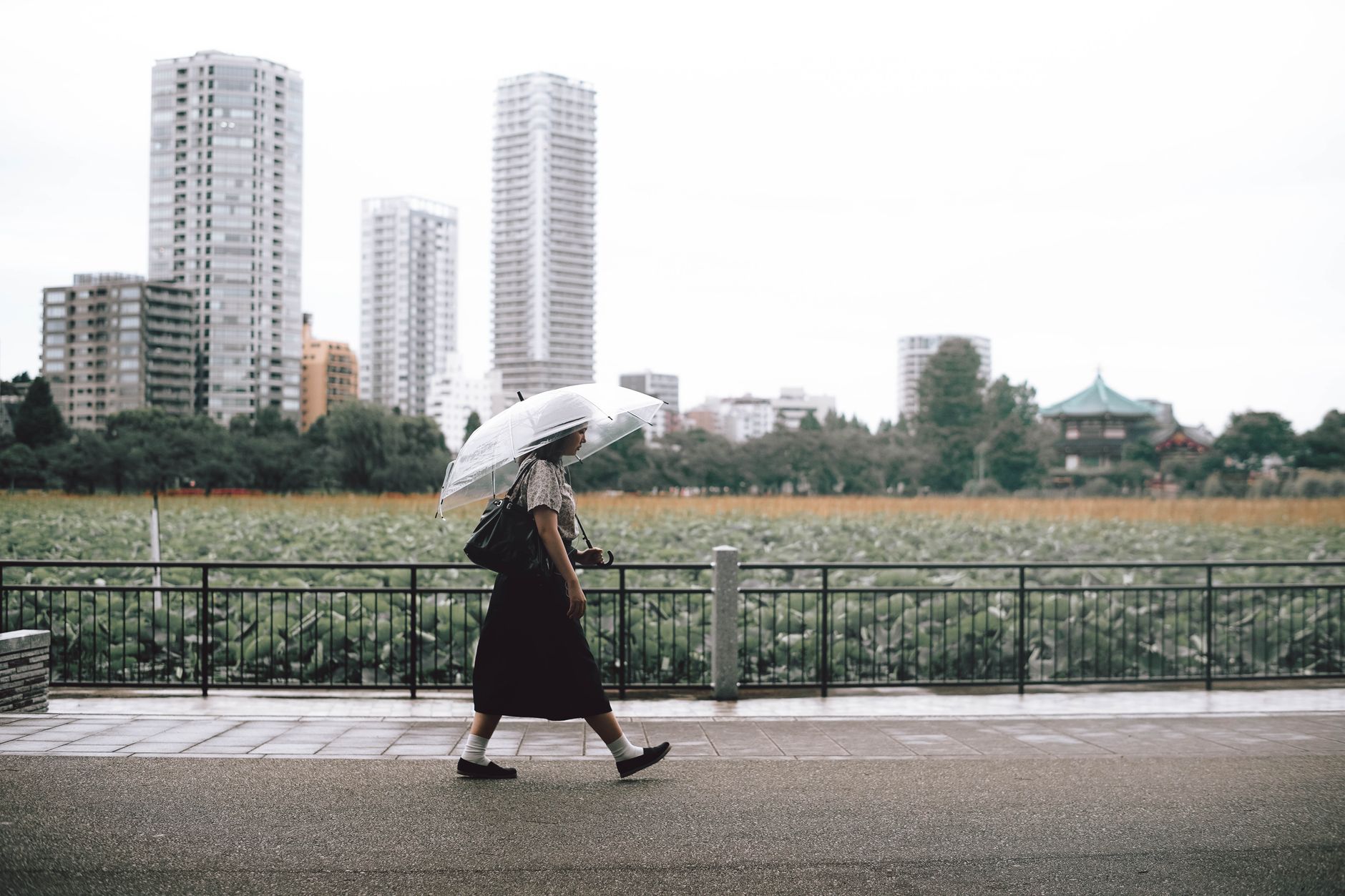 일본 여행 중 지진 났을 때 기본 행동 순서 정리 4 A woman with an umbrella strolls by a scenic city park in Tokyo, Japan.