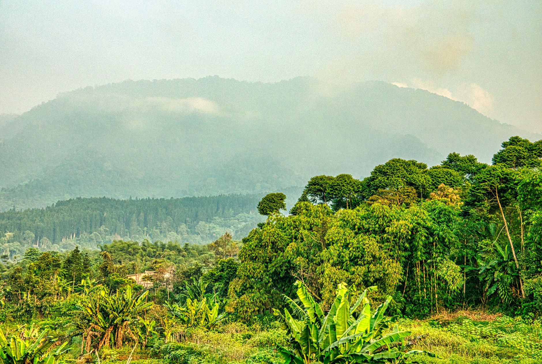 Menjelajahi Wisata Alam Tersembunyi di Toraja: Panduan Lengkap untuk Petualang