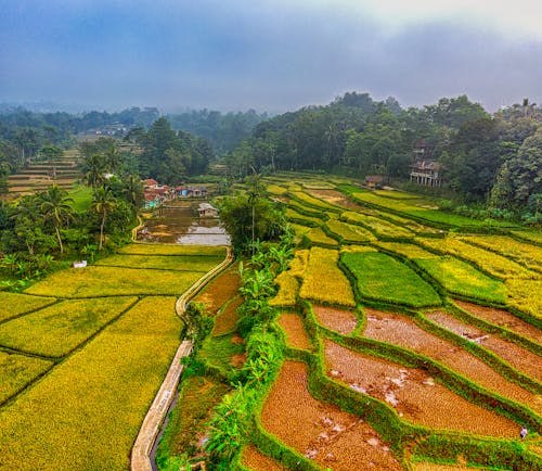 An Agricultural Land Under Blue Sky