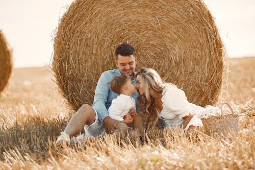 Immagine gratuita di balla di fieno, biondo, campo