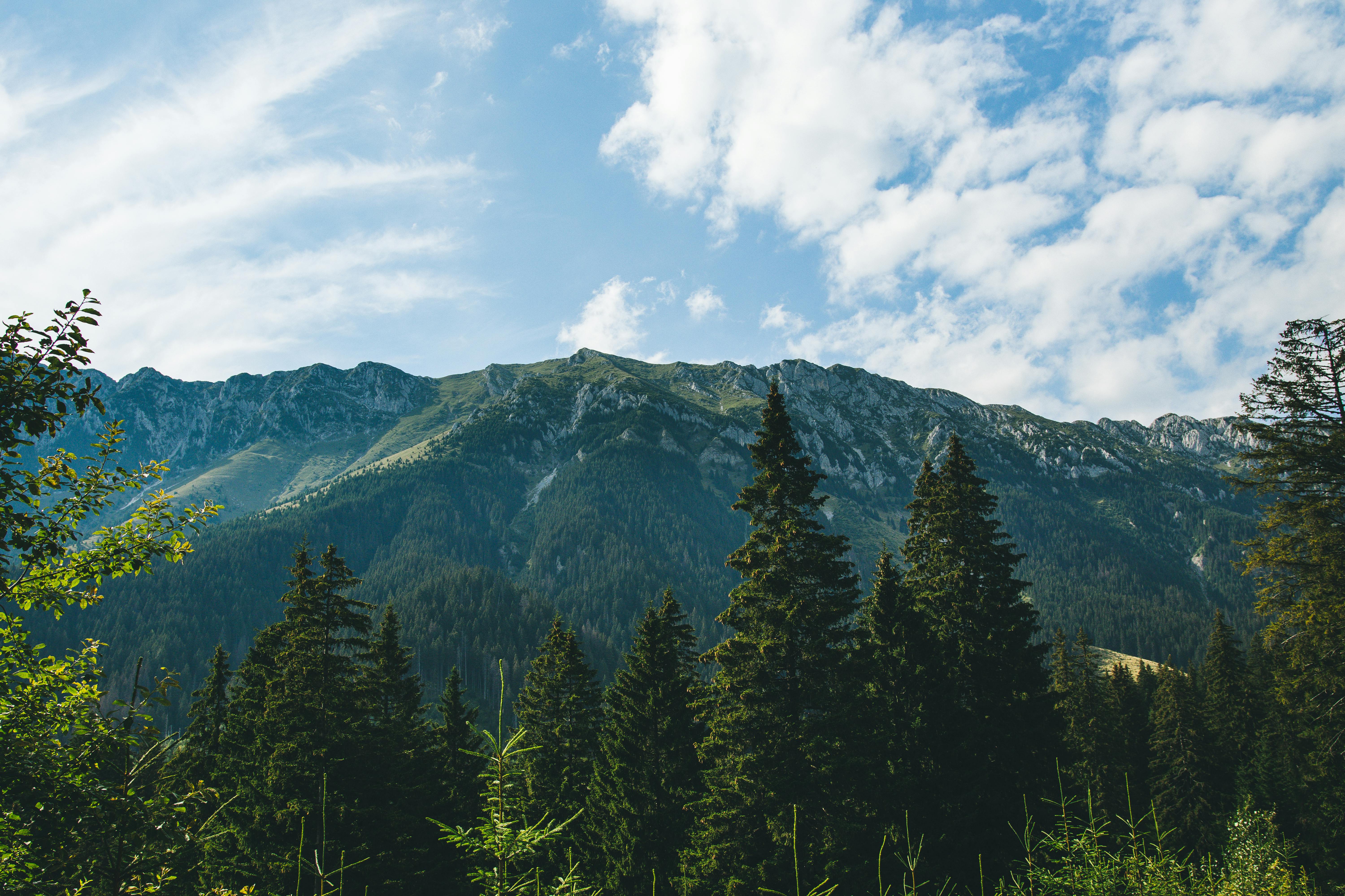 Evergreen Content Ideas