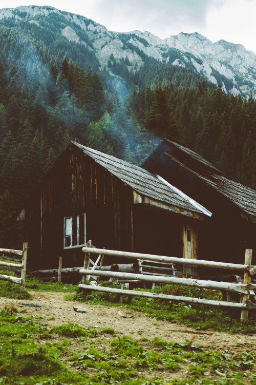 Free A serene scene of a wooden cabin nestled among pine trees in a mountainous landscape. Stock Photo
