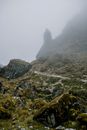 探索秘鲁安第斯山脉的宁静与雾景，欣赏那缭绕的雾气、嶙峋的岩石和葱郁的植被