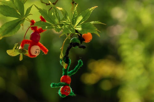 Free Colorful toys hanging on twigs of tree with lush green leaves in woodland on blurred background on sunny summer day Stock Photo