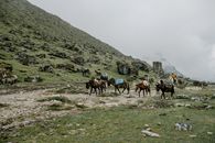 秘鲁多云山区，马匹与骑手构成宁静的风景