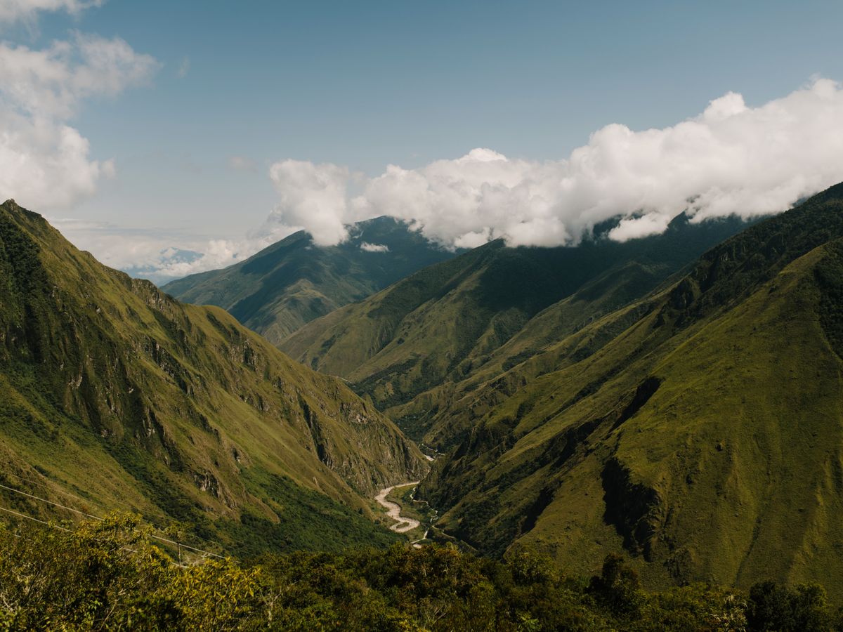 22 Day Ayahuasca Retreat in Pucallpa, Peru 1