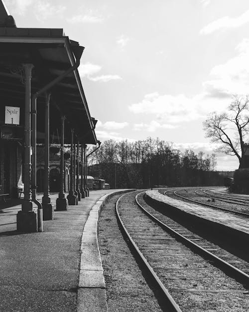 Grayscale Photo of a Train Station