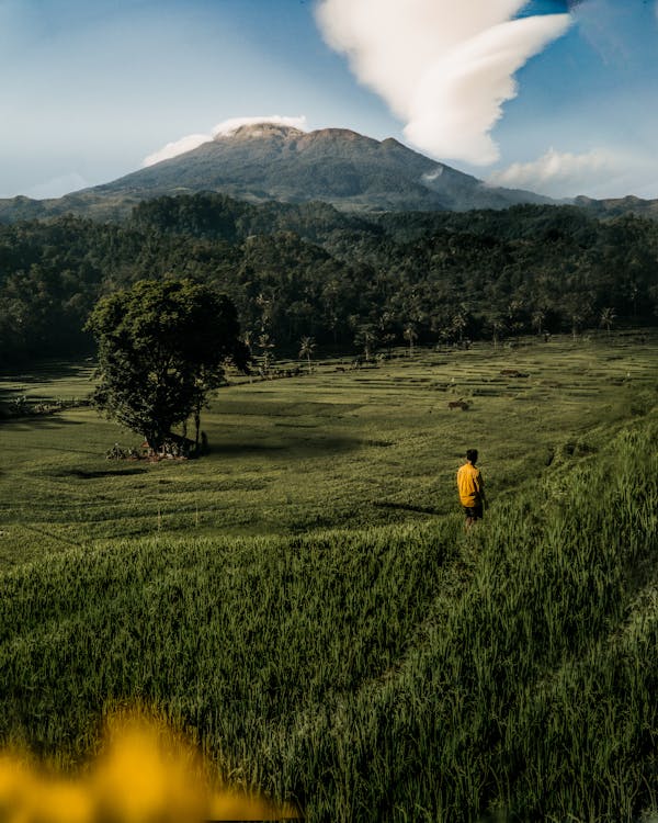 Person in Yellow Shirt Standing on the Grass Looking at the Mountains