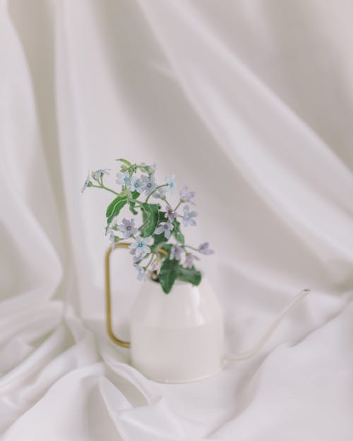 Flowers in a Watering Can