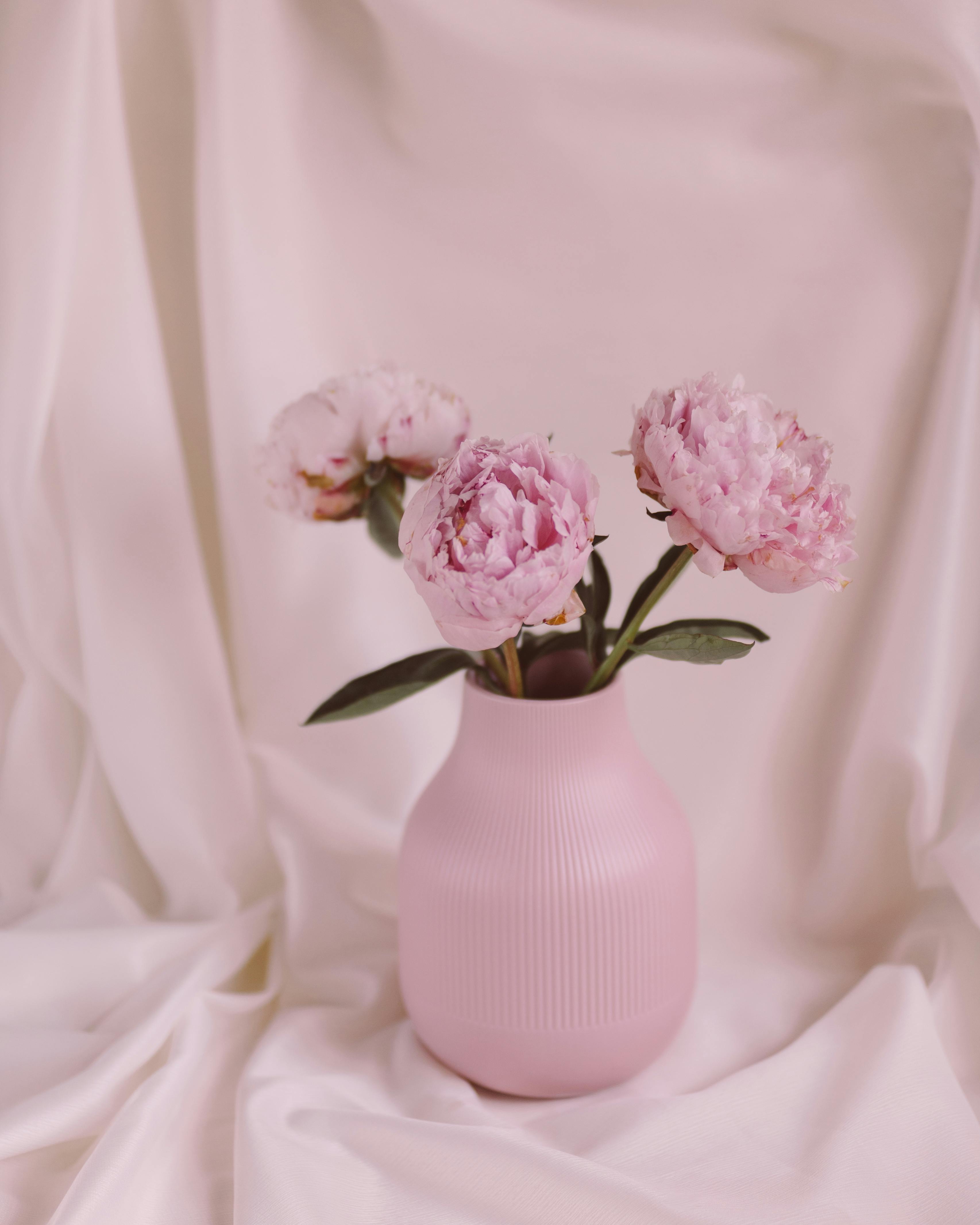 Delicate pink peonies arranged in a textured ceramic vase with draped white fabric backdrop.