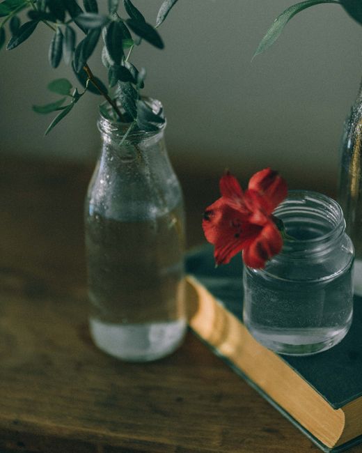 Elegant still life featuring glass jars with water and a vibrant red flower on a wooden surface.