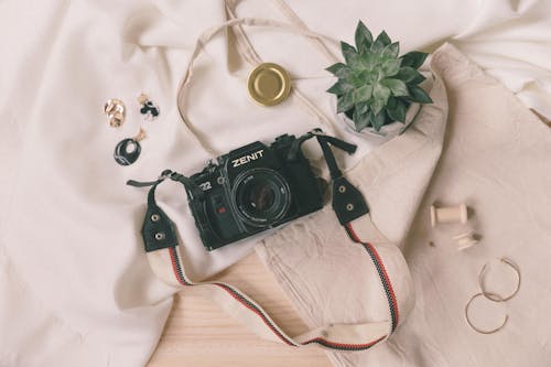 Vintage Camera and Succulent Plant on a Cloth