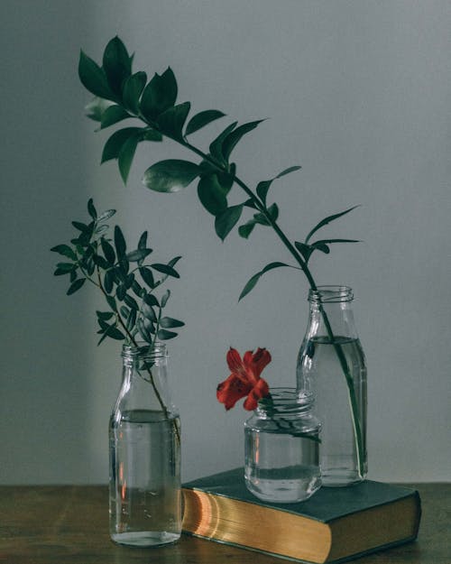 Red Flowers in Clear Glass Vase