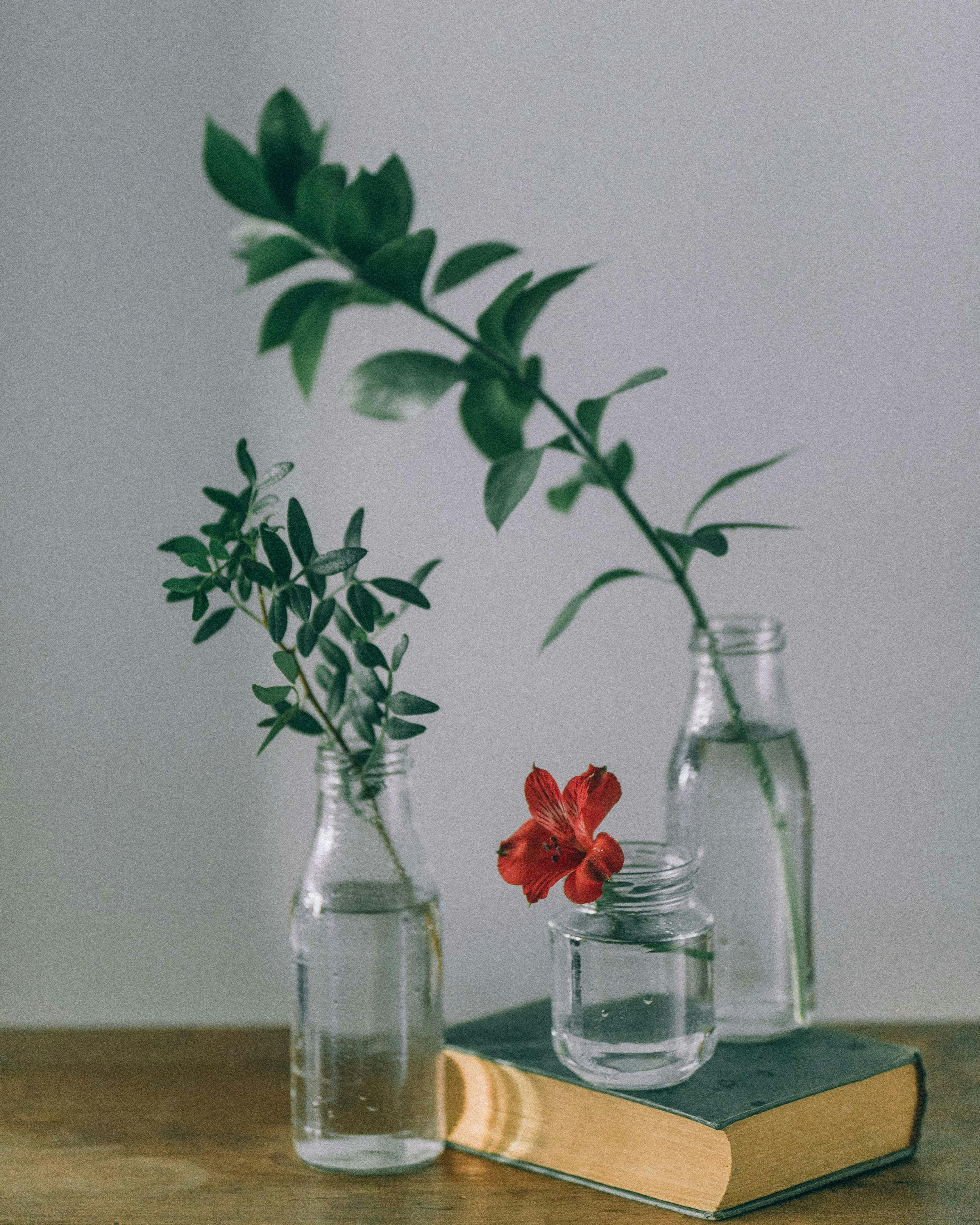 Artistic still life featuring glass bottles, book, and vibrant flowers.
