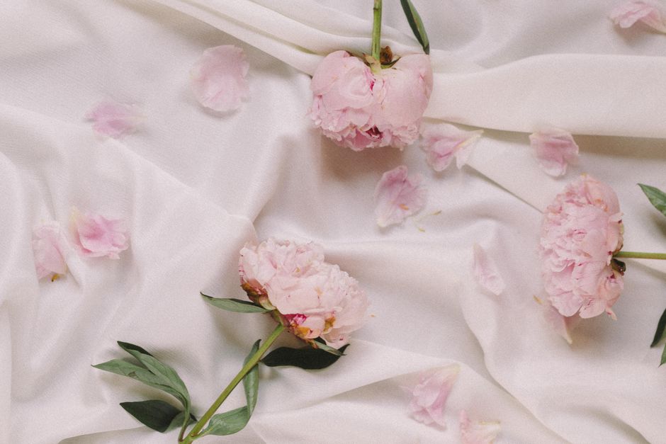 Soft pink peonies gracefully arranged on delicate white fabric create a serene still life scene.