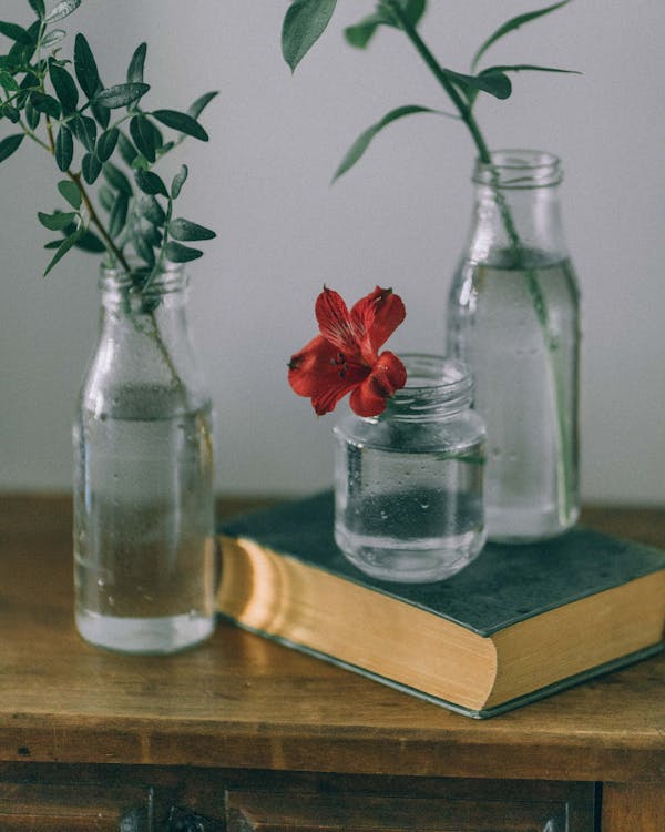 Foto d'estoc gratuïta de ampolla de vidre, flor vermella, fulles, llibre,  natura morta, pot de vidre
