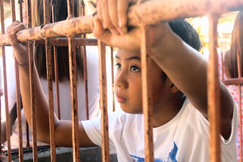 Child in Cage Holding Bars