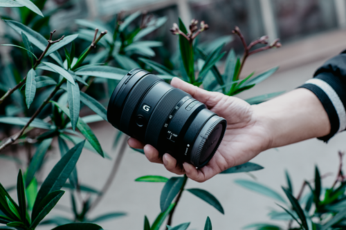 Free A close-up of a hand holding a camera lens surrounded by green leaves, conveying photography in nature. Stock Photo