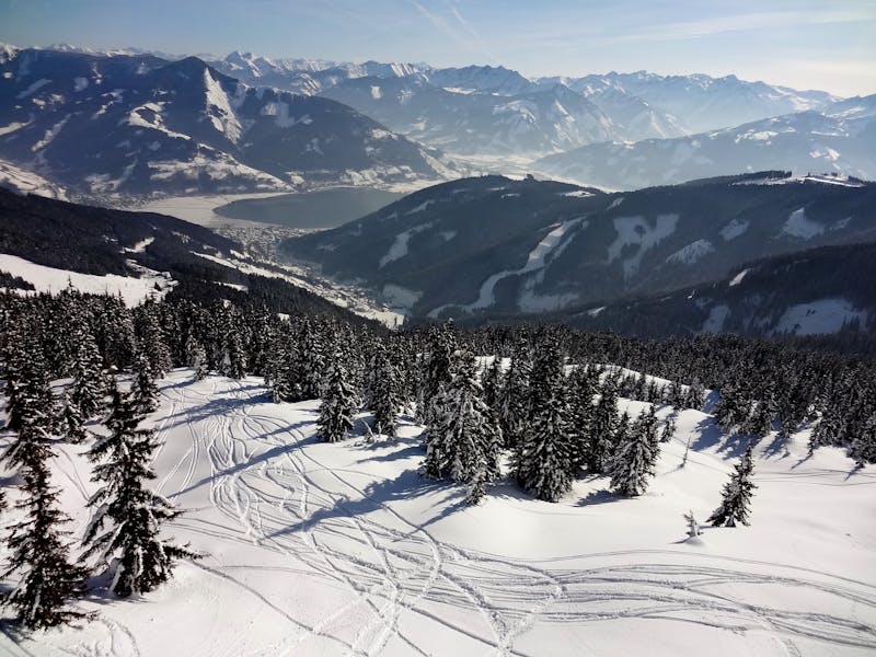 Équipe InBox avec Léo la mascotte