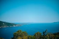 Green Trees Near Blue Sea Under Blue Sky
