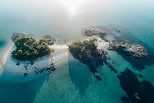 Imagine de stoc gratuită din arbori, coastă, insulă