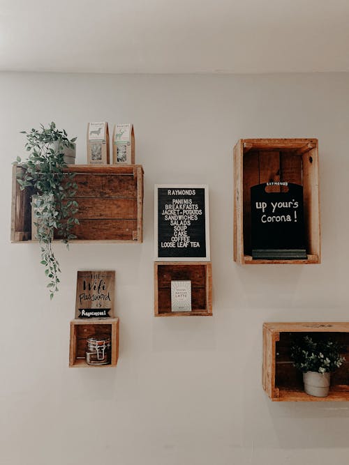 Plants and pictures on shelves on wall
