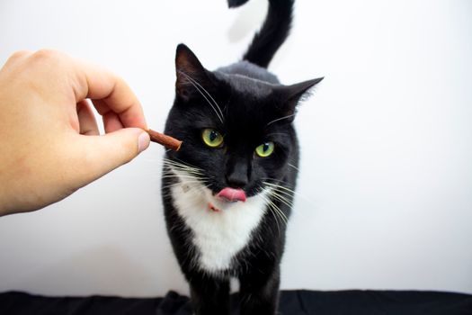 TEMPTATIONS Cat Treats, Tasty Chicken Flavour, 454g Tub